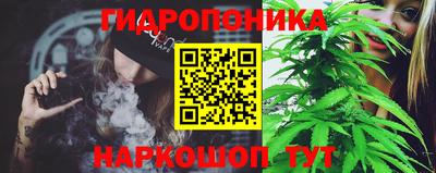 хмурый Гатчина