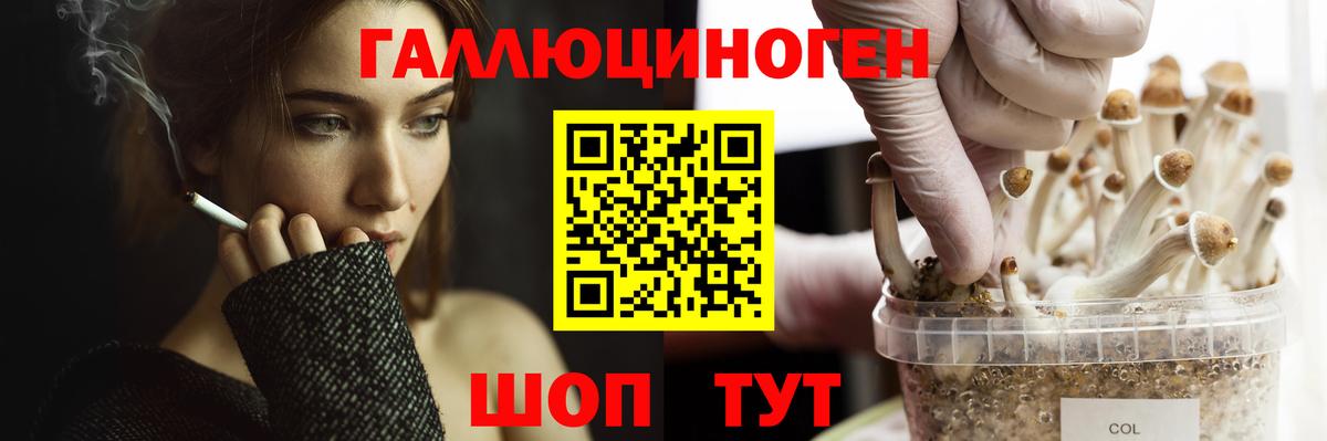 Псилоцибиновые грибы MAGIC MUSHROOMS  Вход с VPN  Галлюциногенные грибы ЛСД  Котлас 