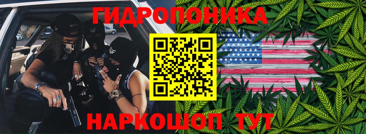 Бошки Шишки THC 21% Котлас